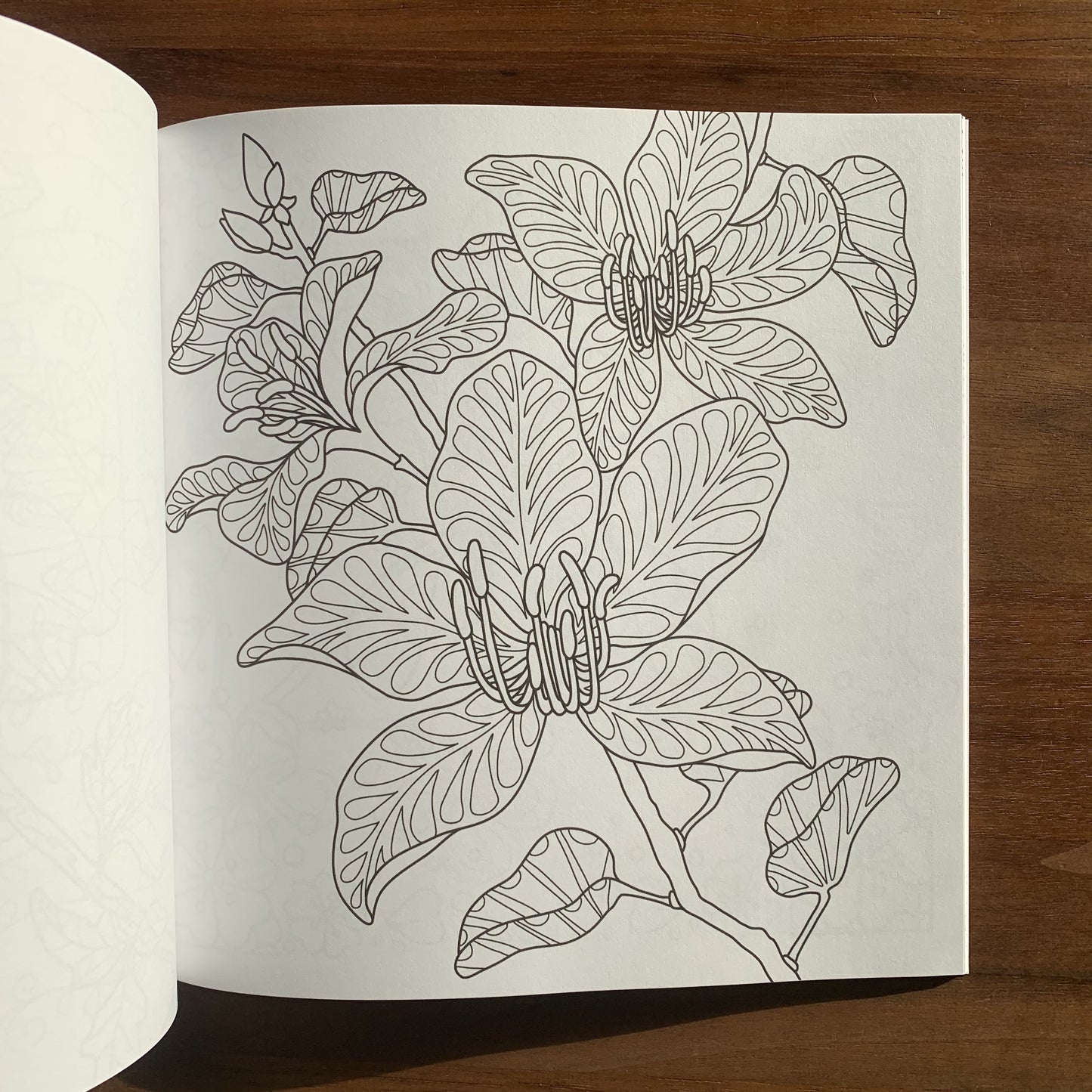colouring page with blooming tree