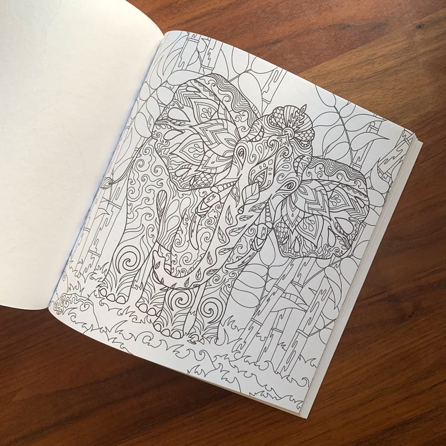 colouring page for adults showing an elephant in the jungle